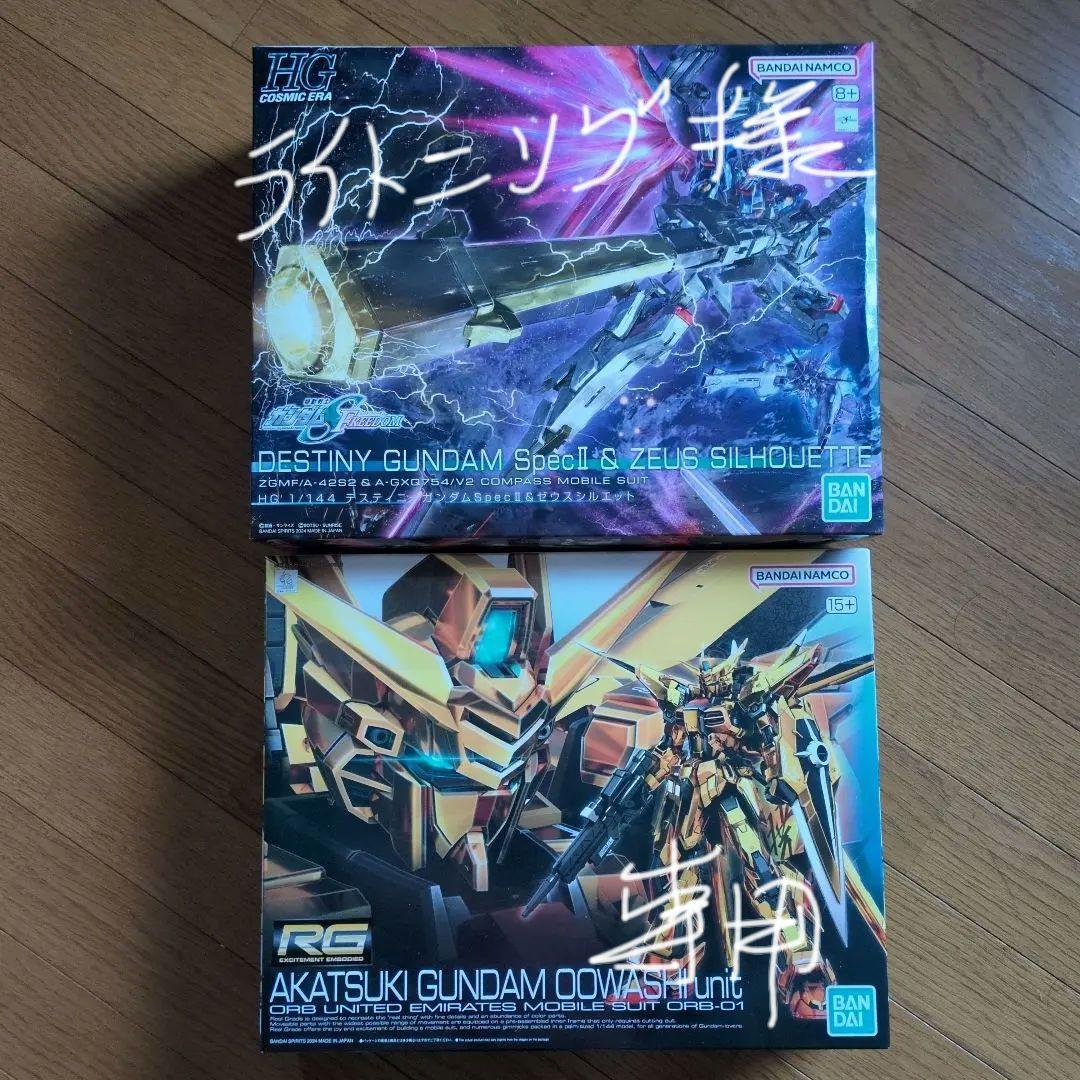 HG デスティニーガンダムSpecⅡ＆ゼウスシルエット　RG アカツキ