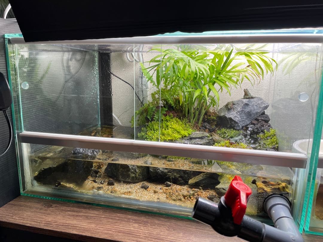 【受注生産】 アクアテラリウム　45センチ水槽