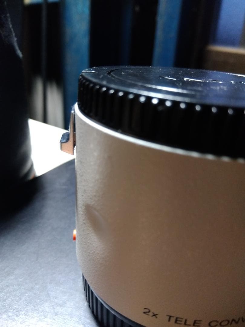 Sony 300mm F2.8 G + テレコンバーター + マウントアダプター