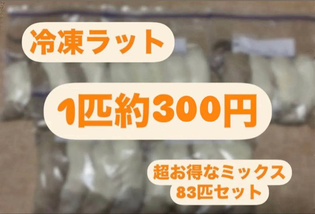 ラット　冷凍　75匹　70〜270gミックス