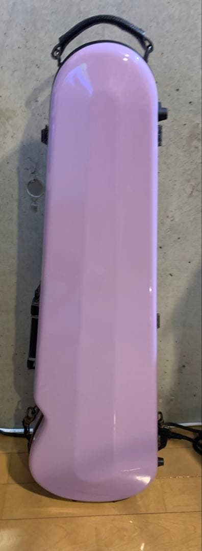 J.W.Eastman ウィステリア　バイオリンケース&バイオリンセット