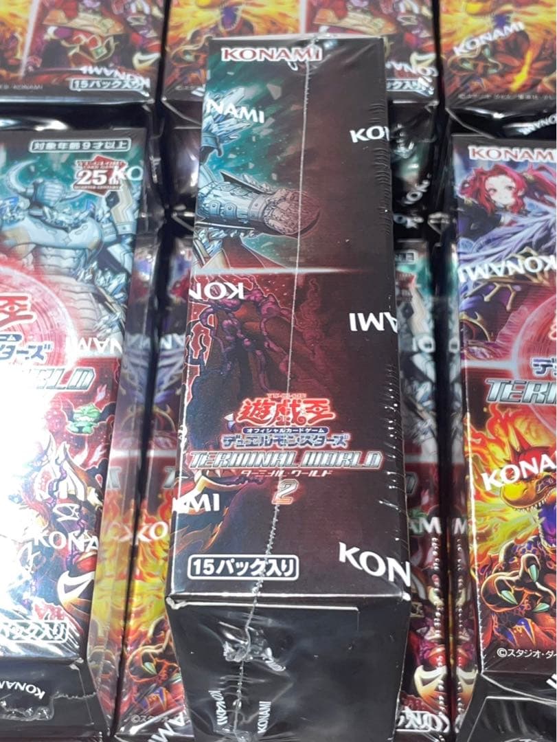 遊戯王　TERMINAL WORLD 2 ×24箱　ターミナルワールド