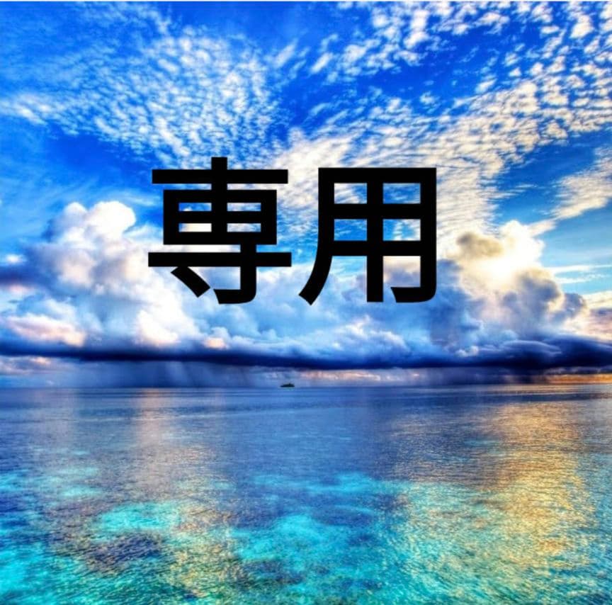 エーハイム　プロフェッショナル４＋　２２７３　５０Ｈｚ 新品未開封品