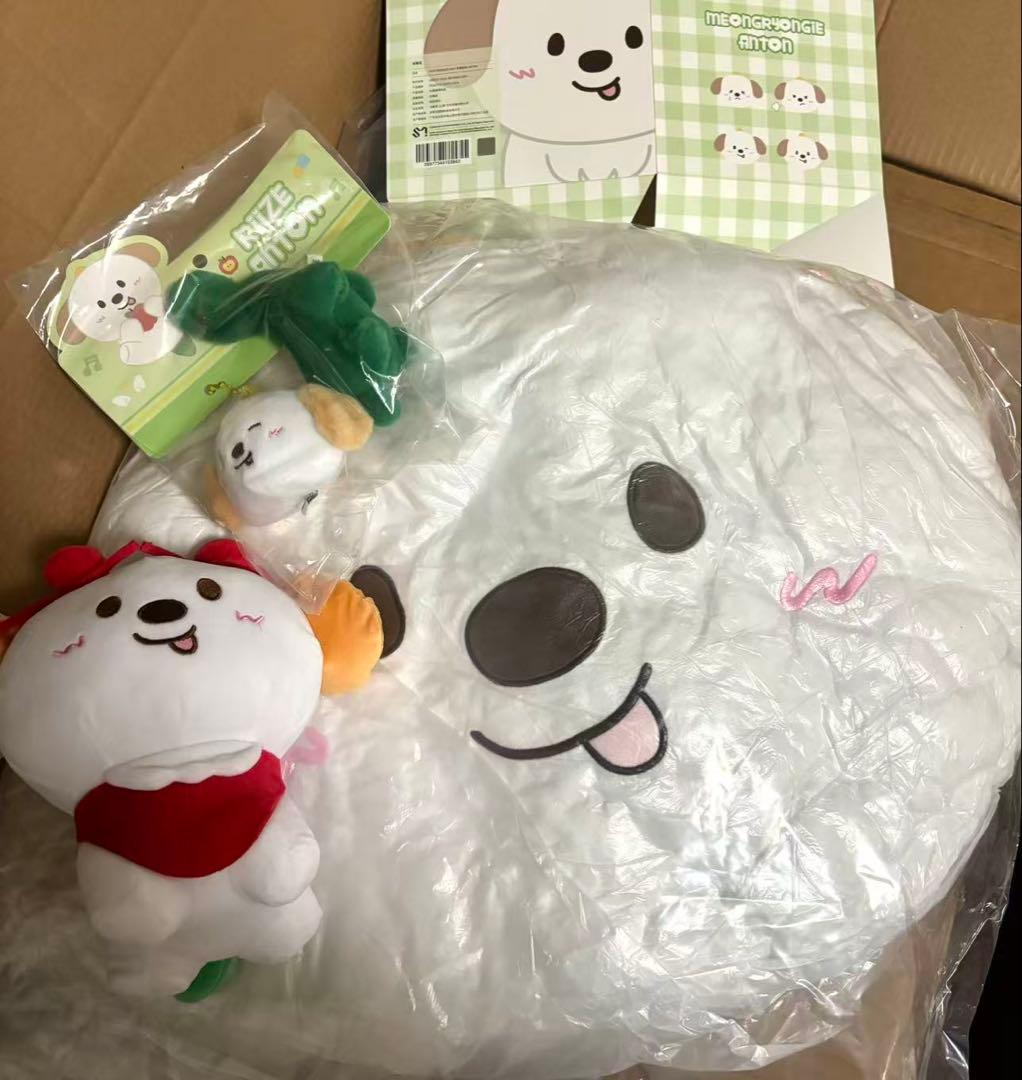 RIIZE アントン ANTON 中国限定