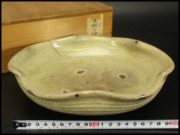黄瀬戸 梅型 鉢 古美術(ZE569)