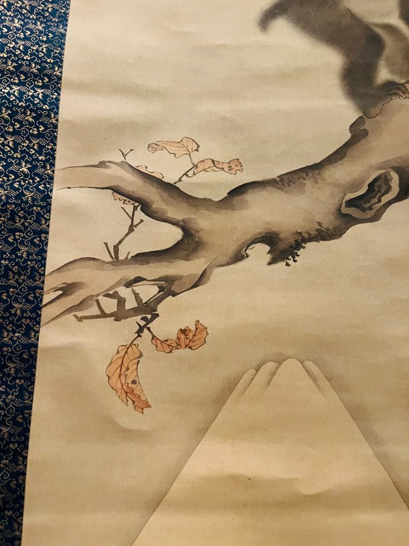 【掛軸箱付き】森狙仙 親子猿之図