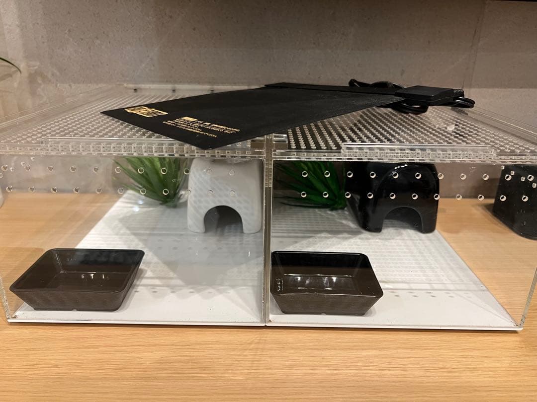 爬虫類飼育セット　2セット　ヒーター付き