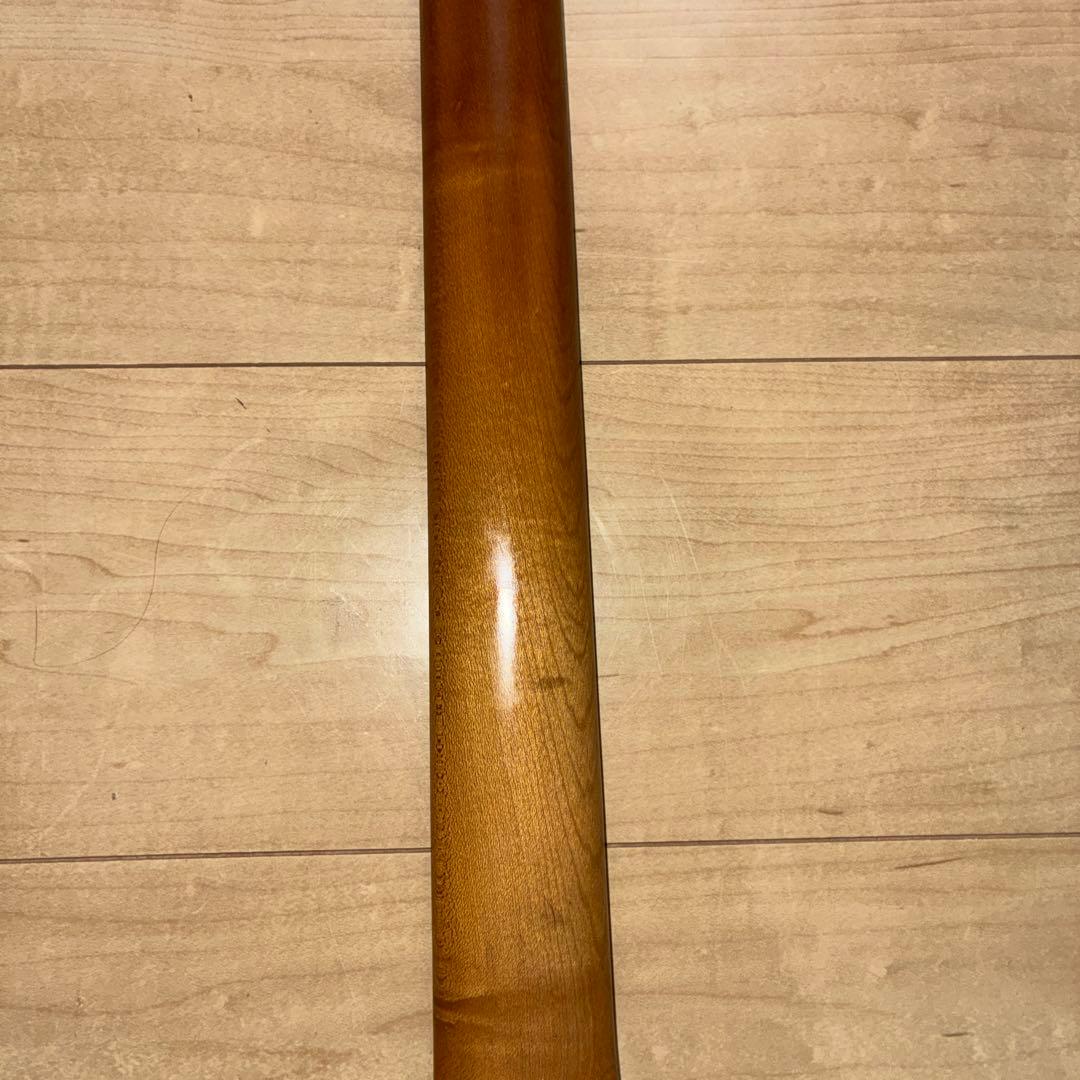 希少B.C Rich KKV Kerry King V BCリッチ ケリーキング