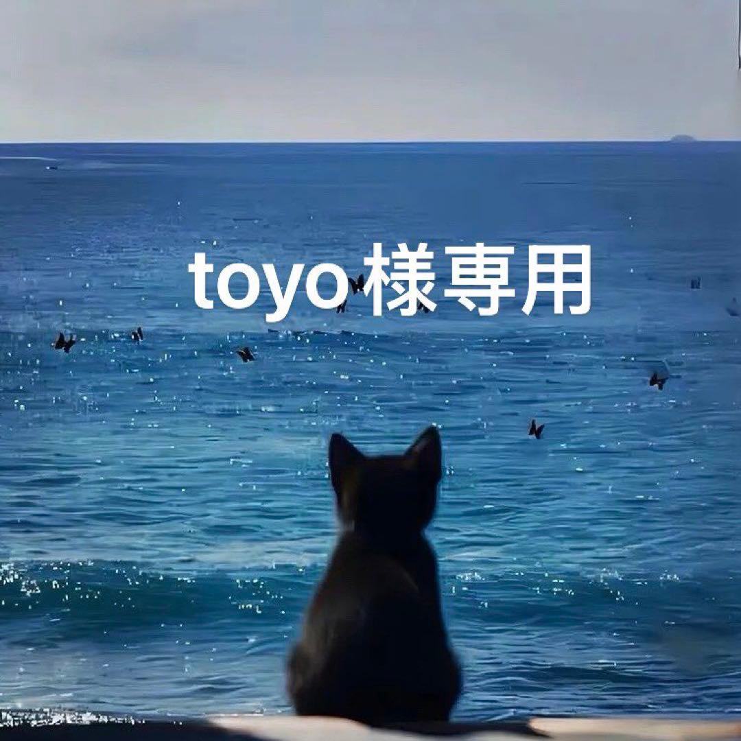 文学・小説 toyo