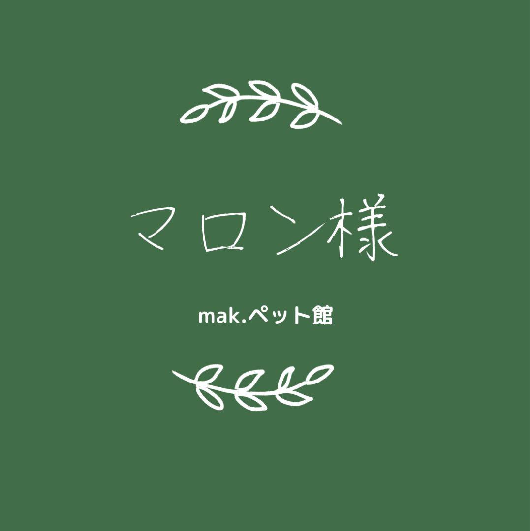アミンアバスト　中・大型犬用規格（1,000mg）60カプセル