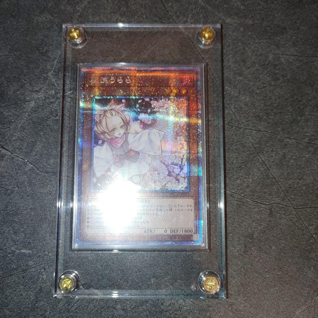 遊戯王　灰流うらら　プリズマ　ホログラムエラー　はるうらら