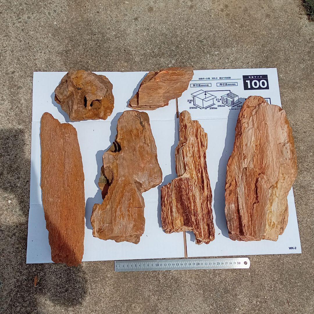 木化石01　約18ｋｇ　アクアリウム 　水槽　レイアウト　石