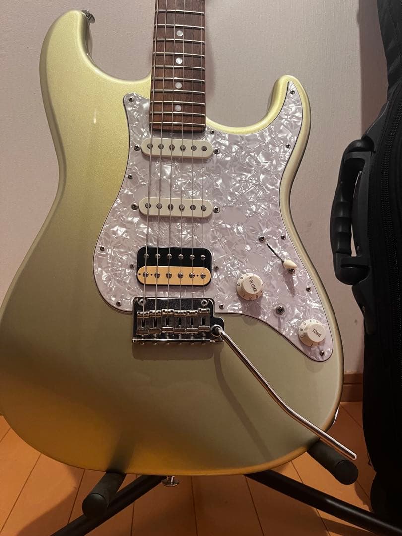 ギター BLACK CLOUD Custom Made Sigma SSH/TGM