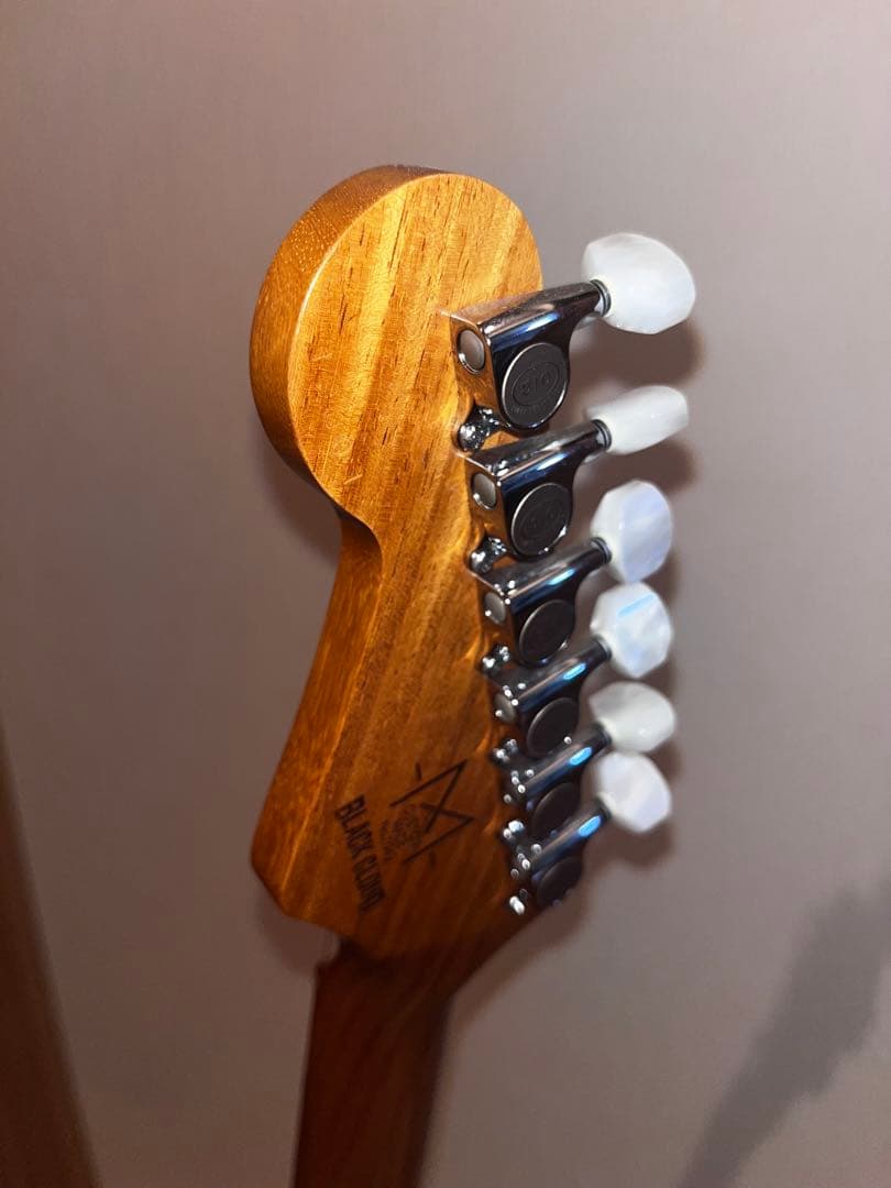 ギター BLACK CLOUD Custom Made Sigma SSH/TGM