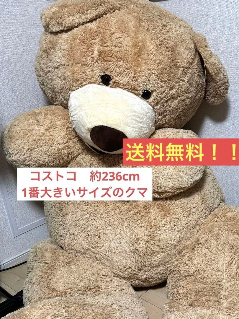 しょうたん コストコ　超特大クマのぬいぐるみ サイズ約236cm