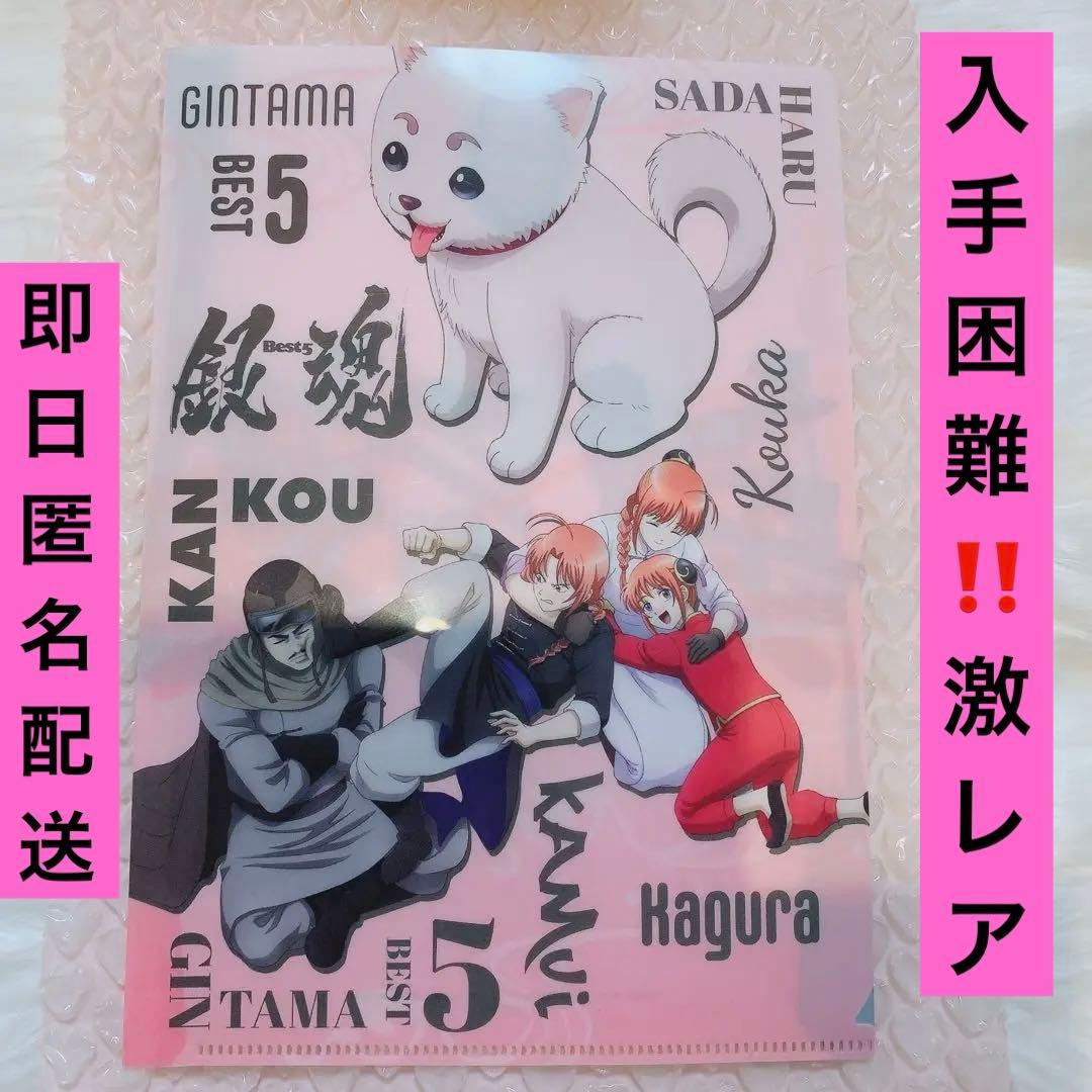 入手困難新品未開封 銀魂後祭り特典ファイル 夜兎家族 神威 神楽 江華 星海坊主