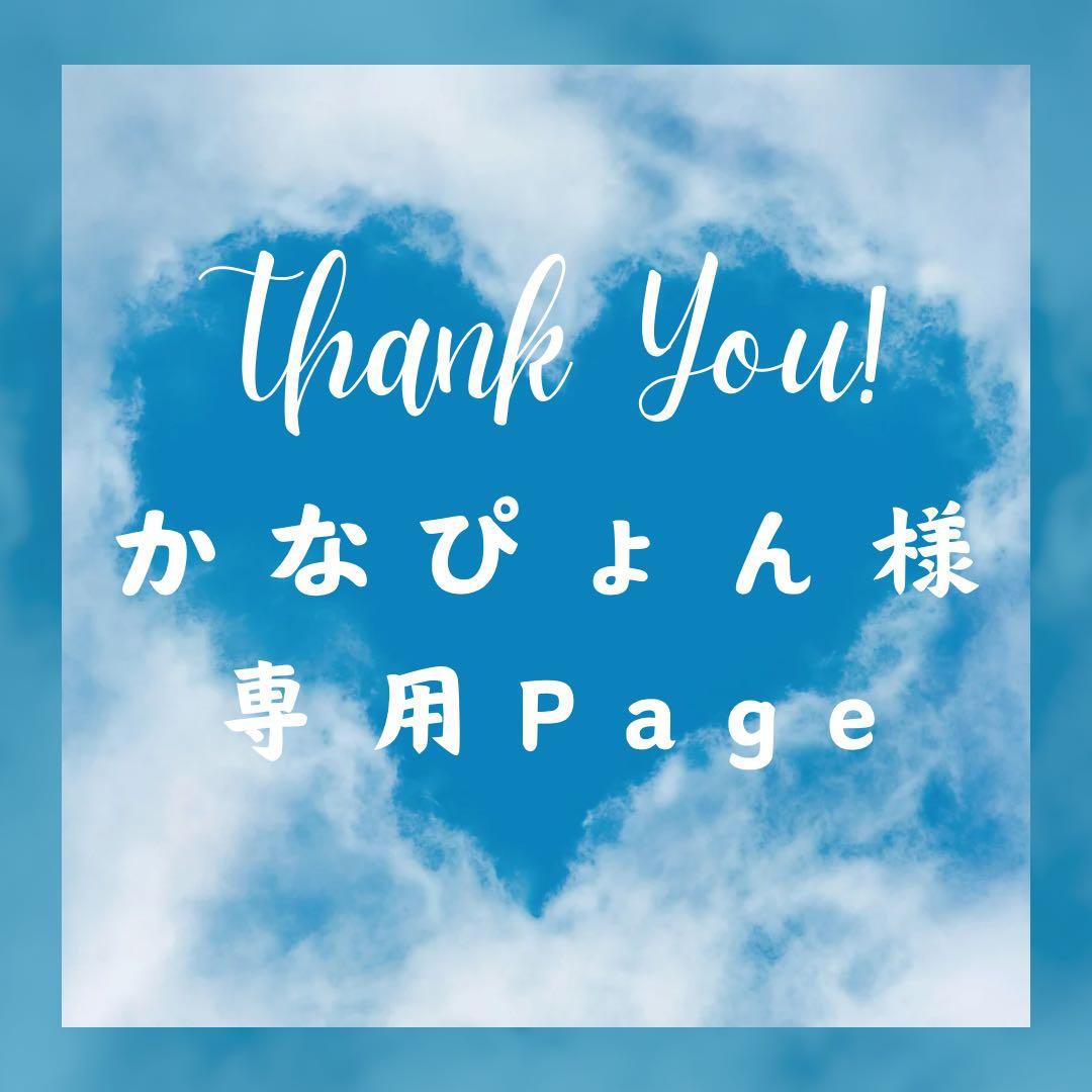 かなぴょん様＊専用　ありがとうございます＊.