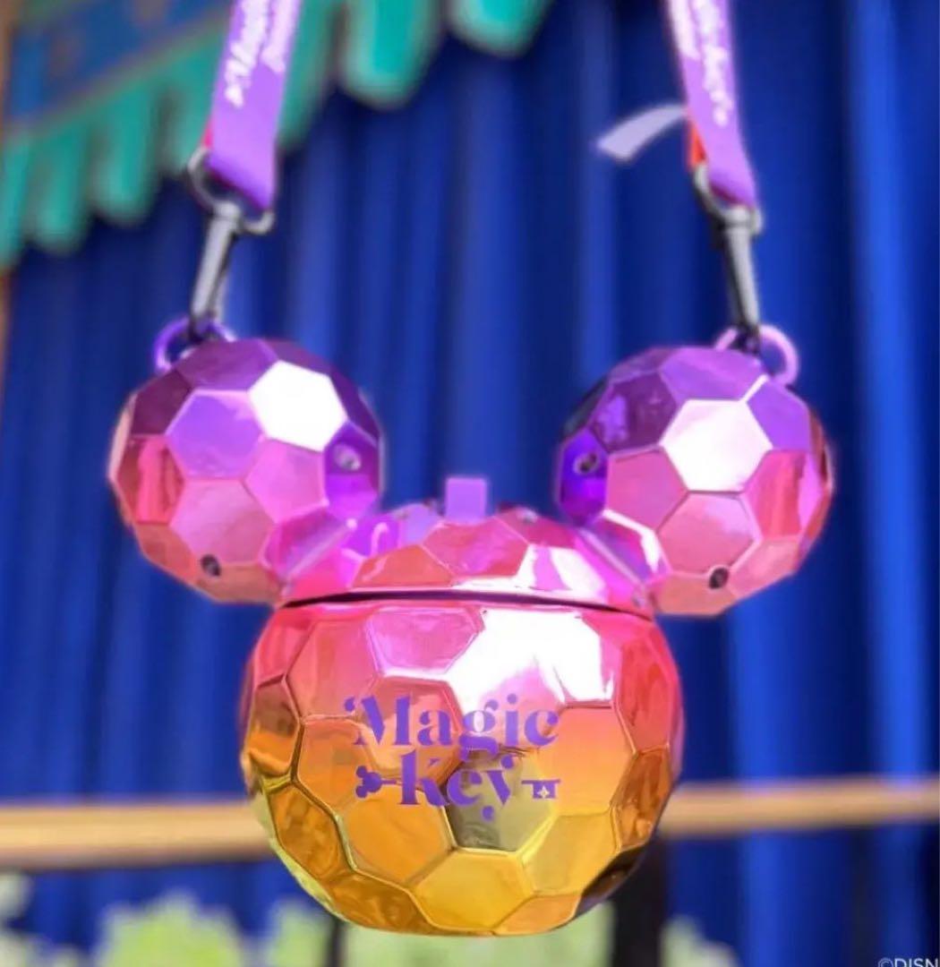 カリフォルニアディズニーランド　年パス　限定　ミッキー　シッパー　ドリンク