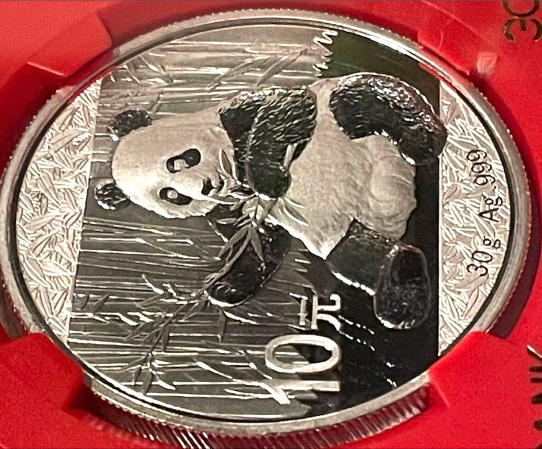 中国　パンダ銀貨　10元　2017年　NGC MS70 カンフーパンダ３