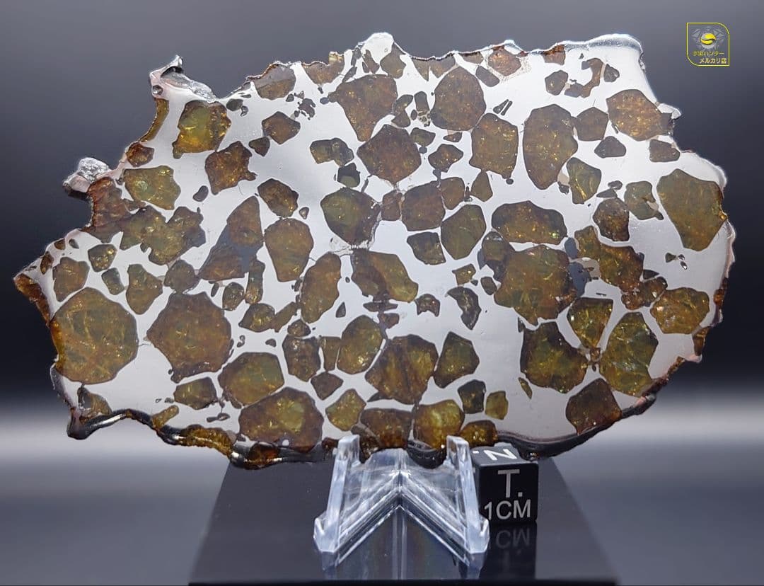 ✨イミラック パラサイト 隕石 70g ⭐⭐