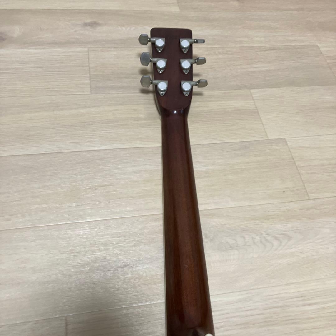Morris アコースティックギター W-30