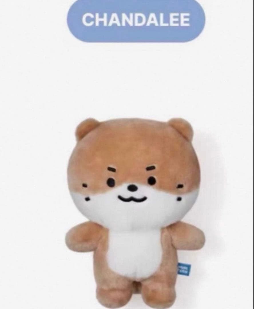 miniteen ミニティーン DINO ディノ セブチ