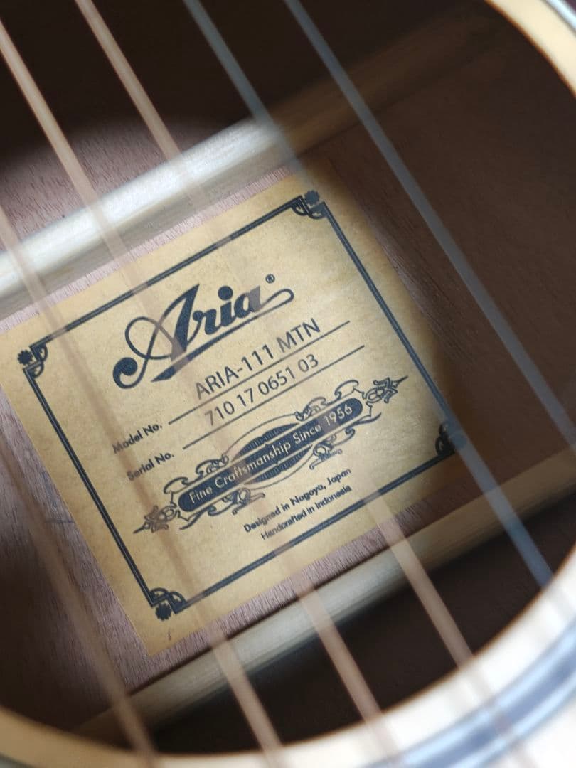 Aria-111 MTN単板トップ/美品