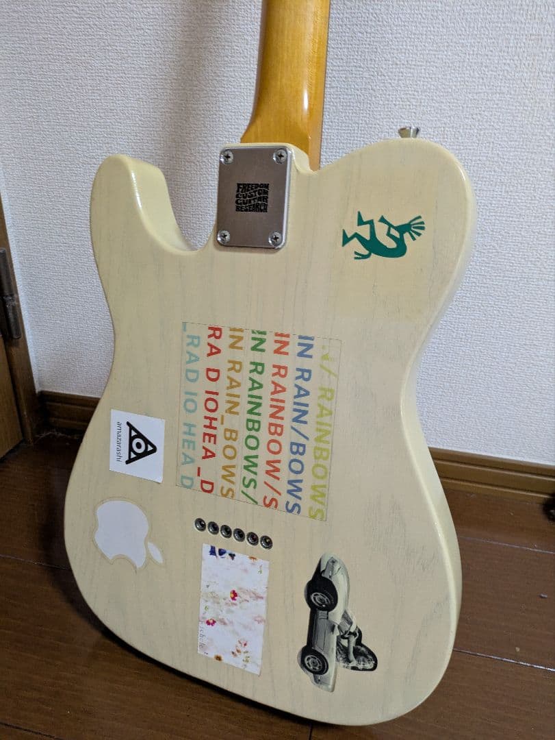 Sword Guitars テレキャスター VANZANDTピックアップ