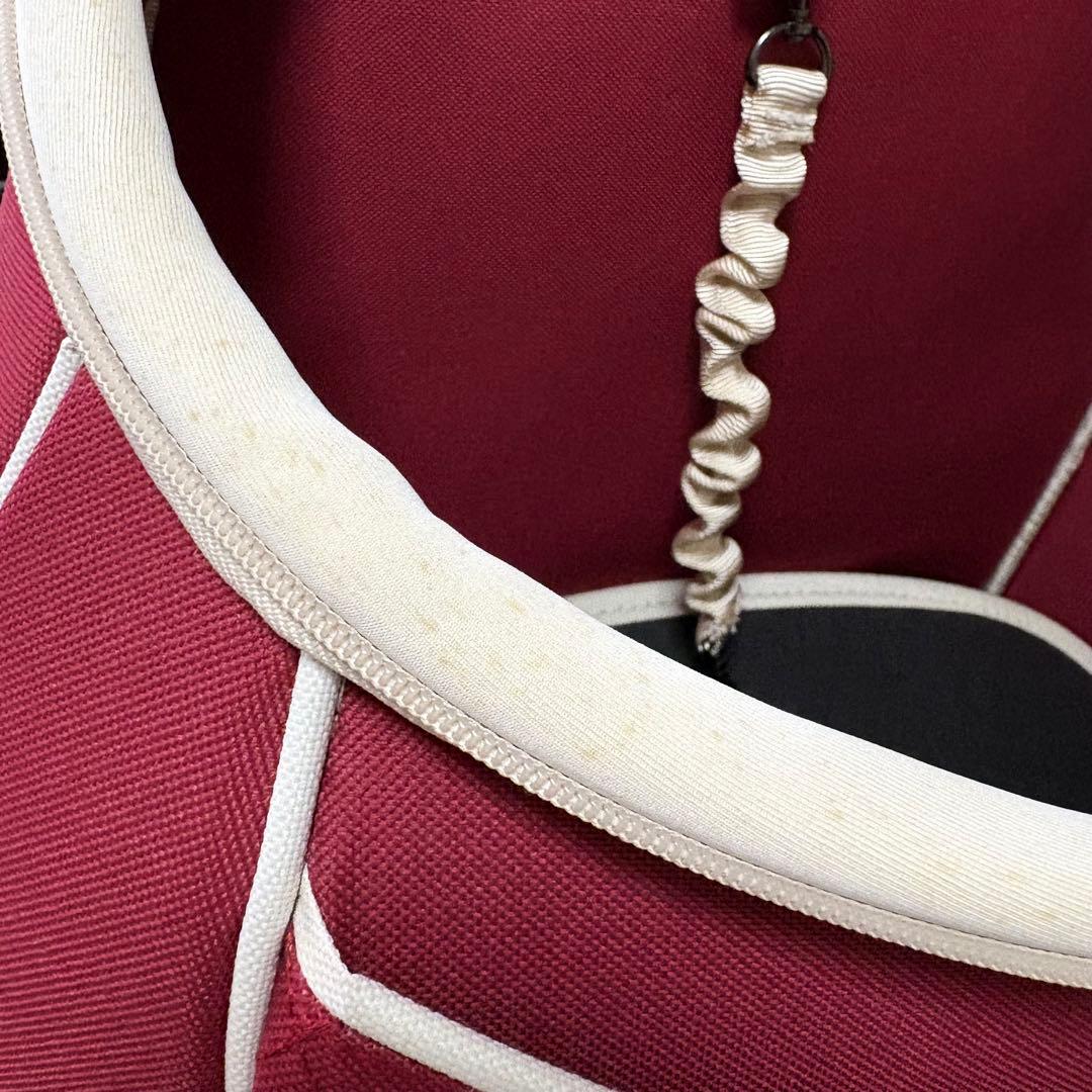 小型犬・ 猫用キャリーバック Daisuki ダイスキリュック