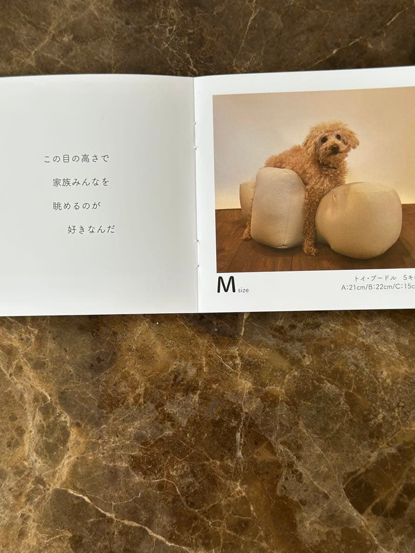 OneAid リラクッション ブラウン　Mサイズ ※専用カバーは付いていません