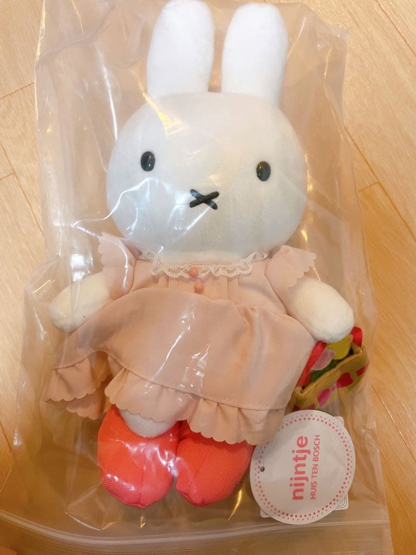 ハウステンボス　チューリップ畑