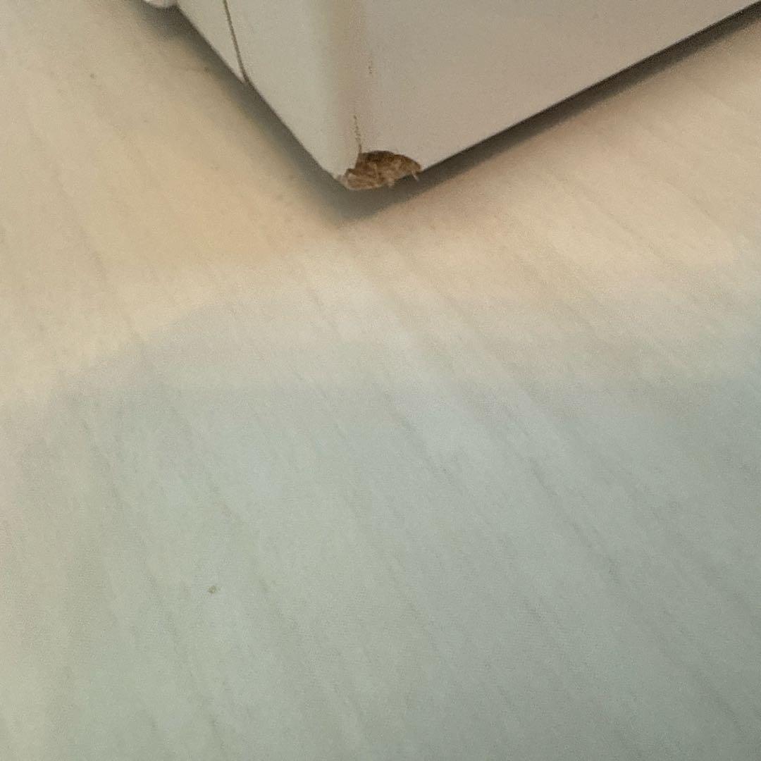 鍵・背面鏡付きガラスショーケース