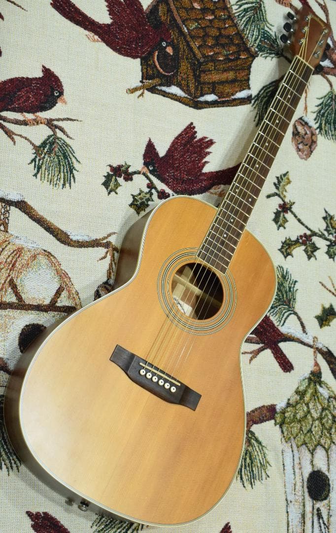 Headway HCN-003 アコースティックギター 状態良好！