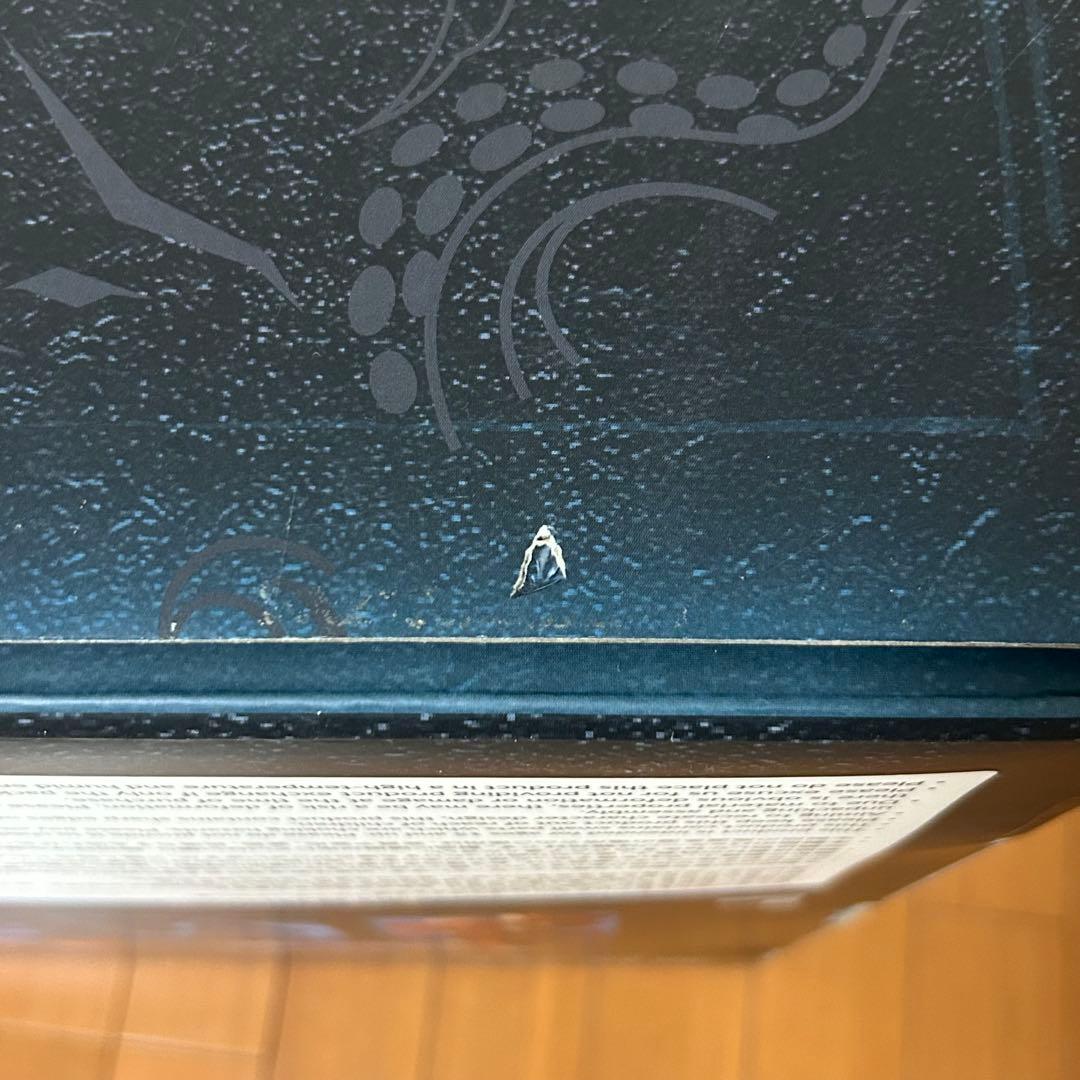 【未使用】特典付き アークナイツ 濁心スカジ 昇進段階二ver. DELUXE版