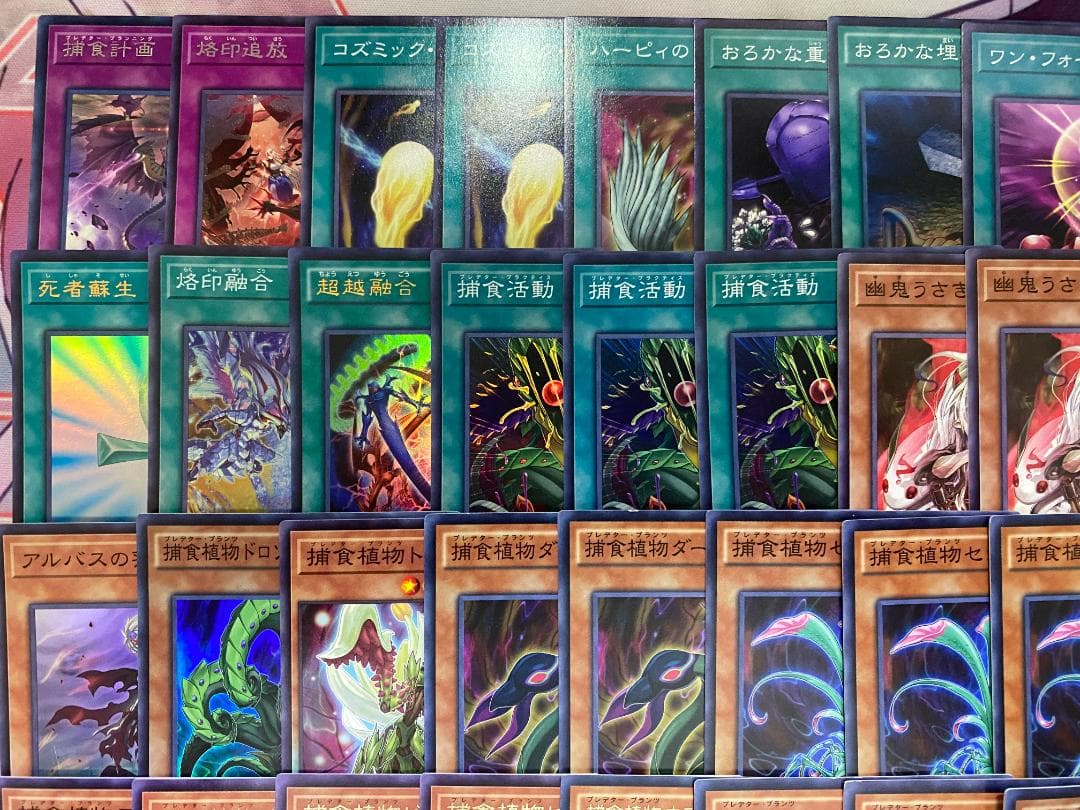 【24時間以内発送】遊戯王　烙印捕食植物（プレデタープランツ）本格構築済みデッキ