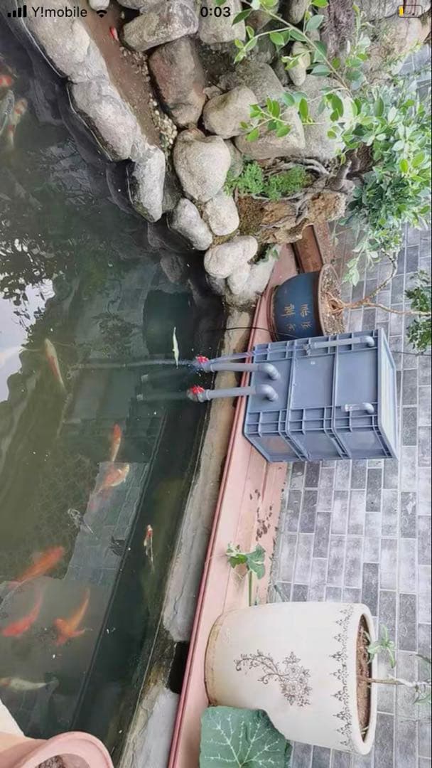 (水漏れ心配無用)ポンプ付き池フィルター万能濾過装置 池フィルター最高濾過装置大