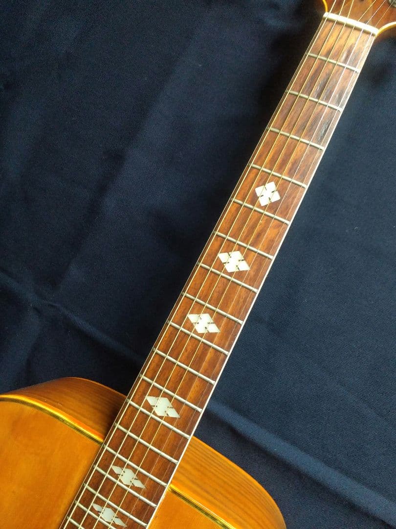 TAKEHARU GUITAR　WT-250　made in Japan