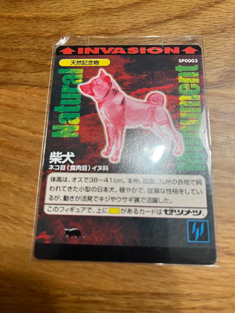Natural Monuments 柴犬 SP0003 INVASION 希少