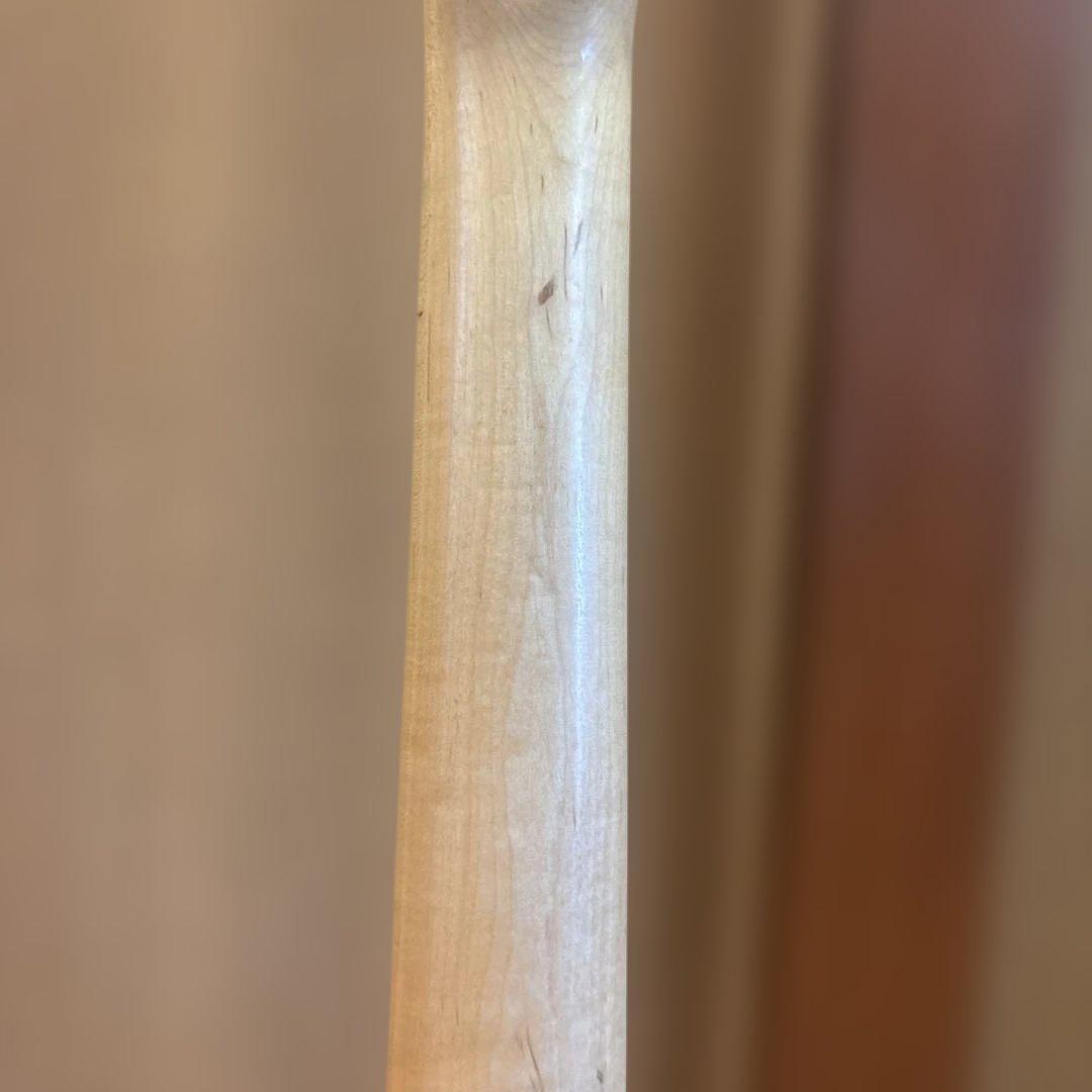 Legend ストラトタイプ アーム付 新品弦張替済 ソフトケース（オマケ）