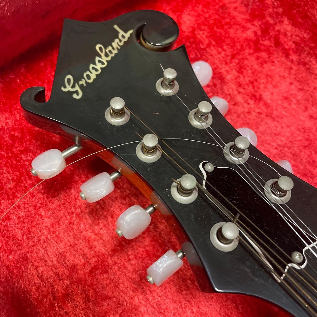 グラスランド　フラットマンドリン　ケース付き　カワセ