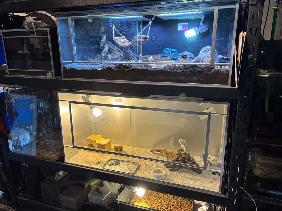 爬虫類　龍匠ケージ　まとめ売り