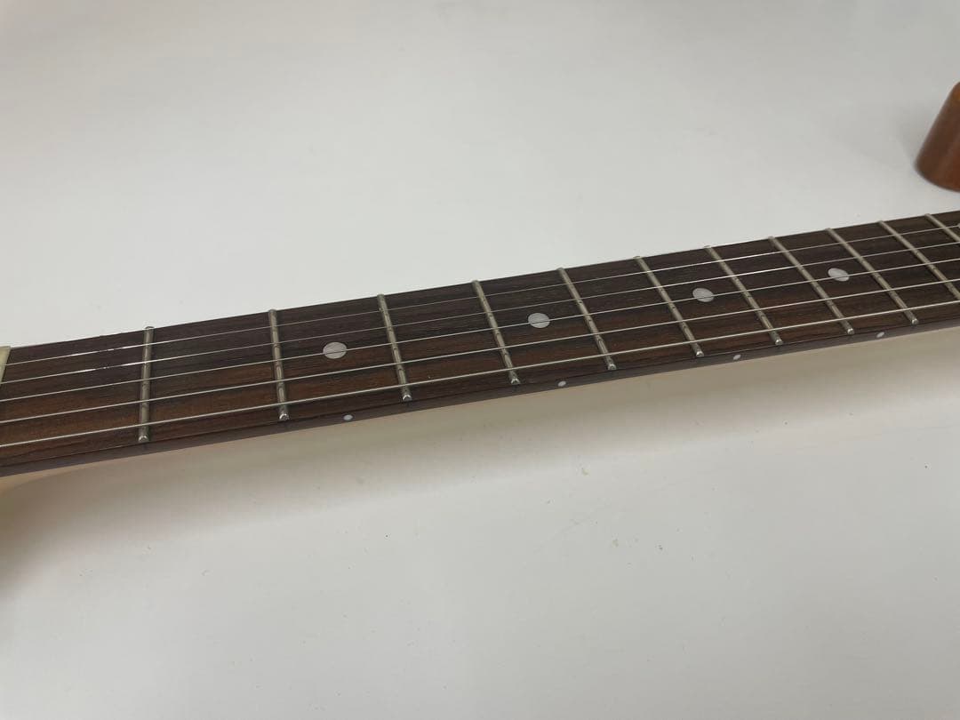 限定生産モデル Schecter OL-PT-TH ホロウボディ