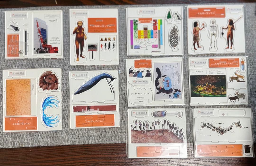 非売品　国立科学博物館　オリジナル標本アクリルスタンド全10種コンプリートセット