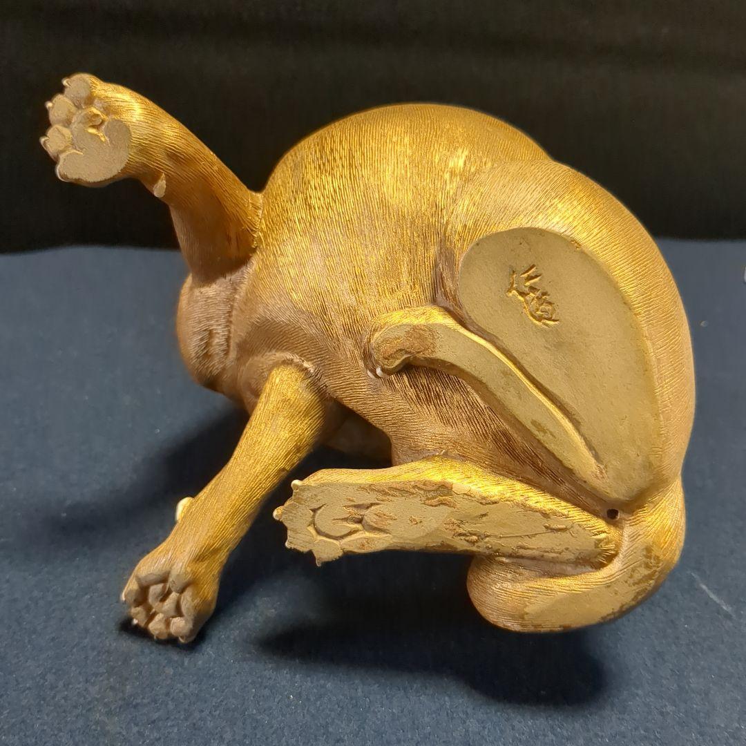 猫　毛づくろい