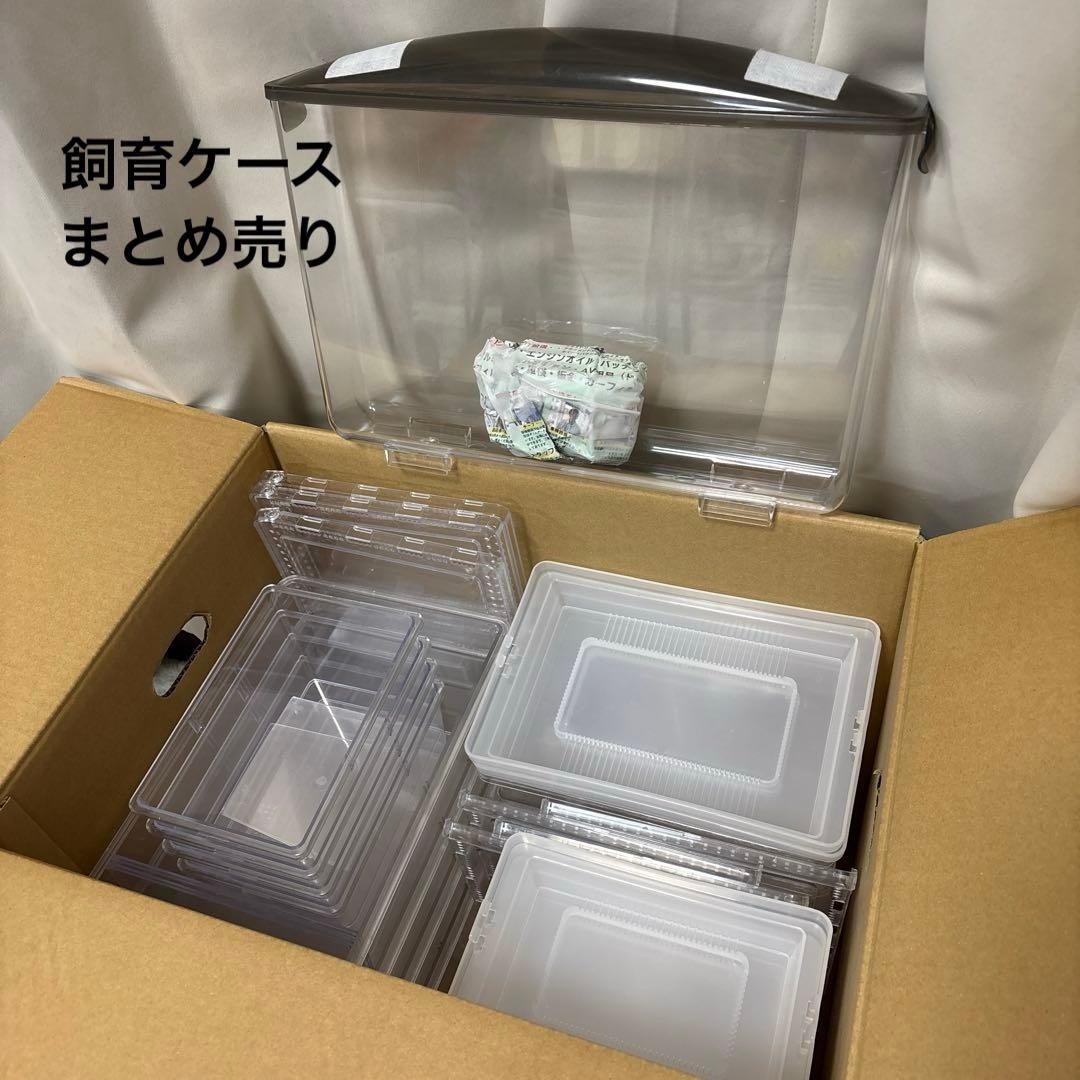 飼育ケース クリアスライダー プラケース ラクぼっくす まとめ売り