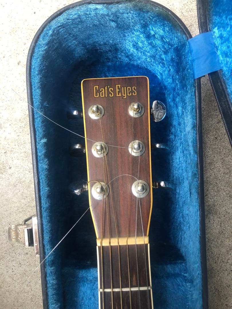 ギター Cat's Eyes CE-600