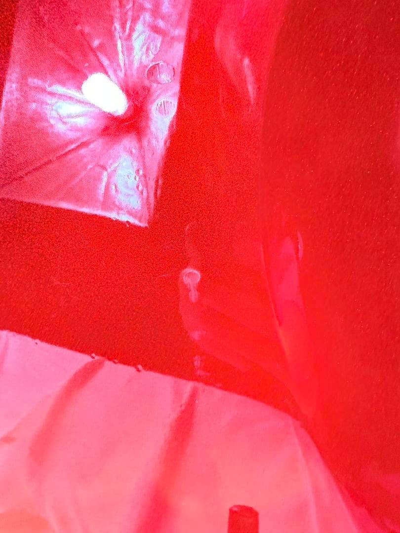 たくみphotogenic MG-200ムスタング エレキギター レッド