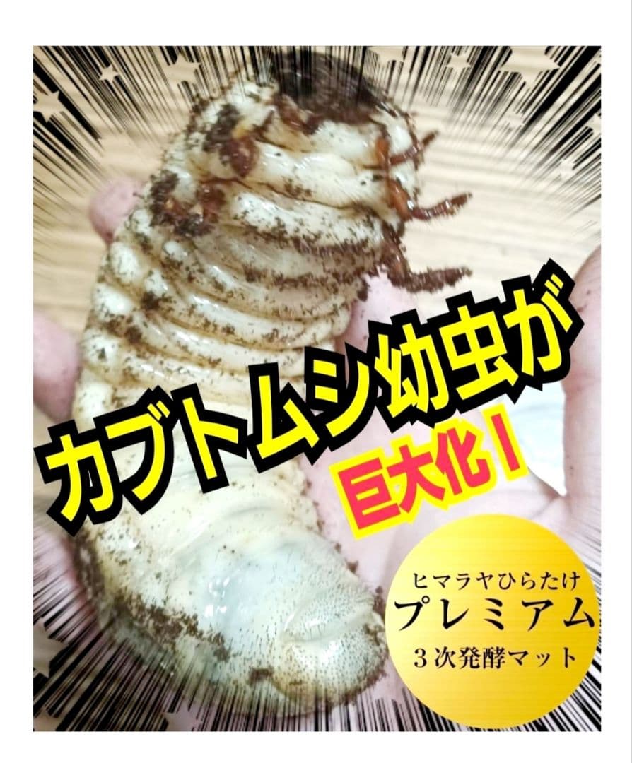 極上！カブトムシ幼虫の餌・産卵に！プレミアム3次発酵マット【たっぷり6袋セット】