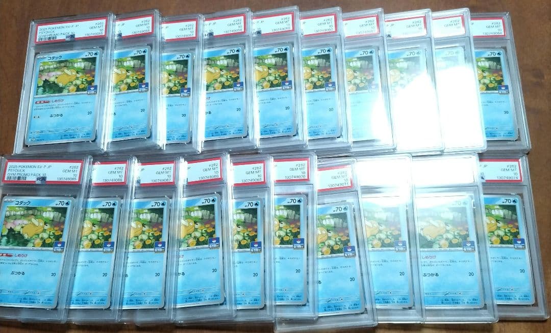 【PSA10】コダック しめりけ 262/SV-P ジムプロモ 20枚