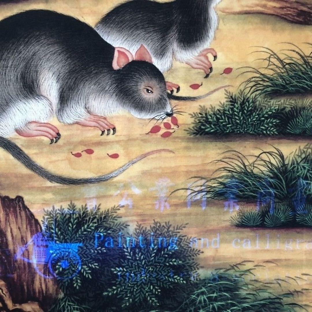 郎世寧 十二生肖・子（鼠） 鼠図 三尺中堂 掛軸　174×77cm 鑑賞用